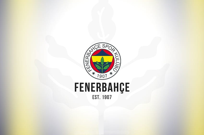 equipo, Fenerbahçe, Club deportivo / y Mobile &, fenerbahce 2022 fondo de pantalla