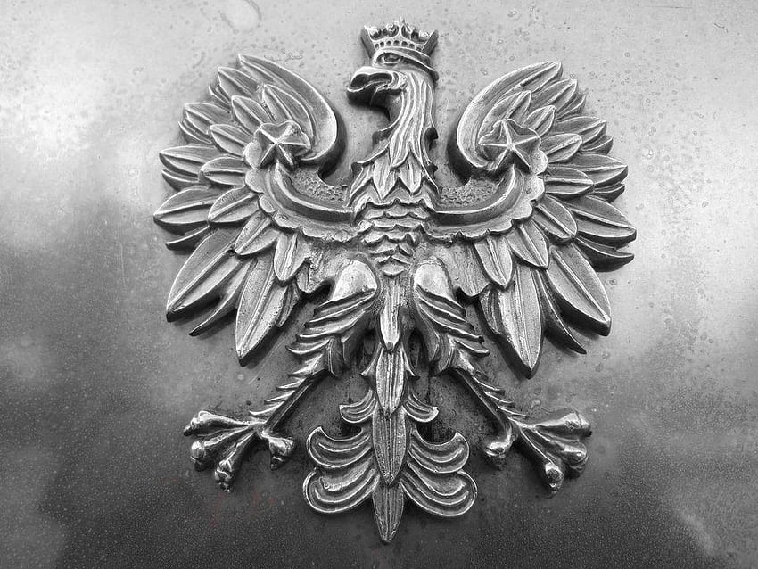 Polnischer Adler, polska HD-Hintergrundbild