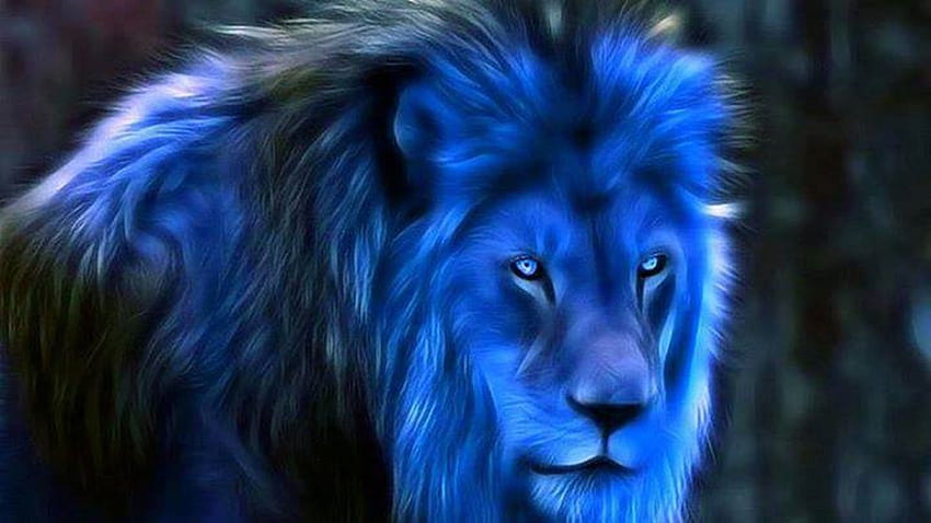 Blue Lion, roi lion néon Fond d'écran HD