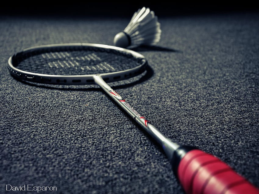 475 Badminton Wallpaper Stock Photos Images  Photography  Shutterstock