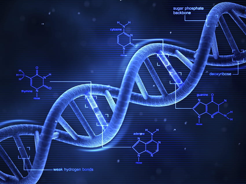 Medizinische Biologie Detail Medizin psychedelische Wissenschaft abstrakt, Genetik HD-Hintergrundbild