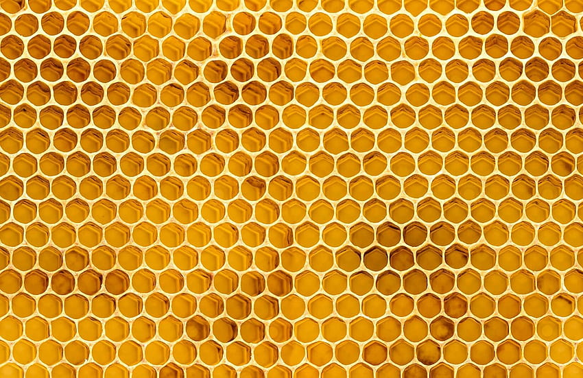 Honeycomb Lovely Honey Bee Hive Tahun Ini Wallpaper HD
