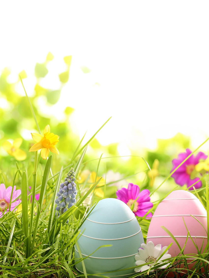 Gallery For gt Pastel Easter Eggs Backgrounds, easter pastel HD phone wallpaper