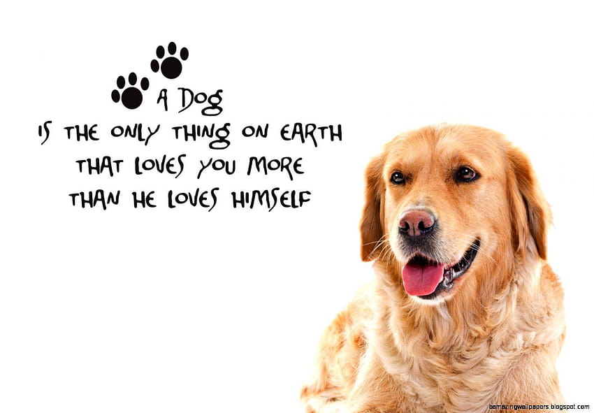 Cute Dog With Quotes, animal quotes HD wallpaper | Pxfuel