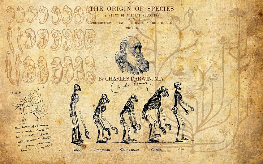 3 Charles Darwin, charles darwin computer HD wallpaper