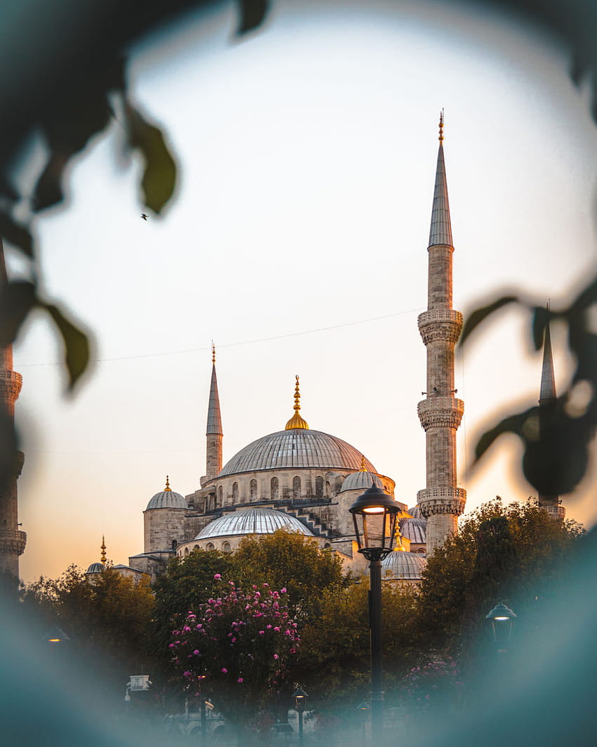 Nic tak nie ulepszy Twojego kanału na Instagramie, jak wycieczka do Turcji. Oto dowód., estetyka indyka Tapeta na telefon HD