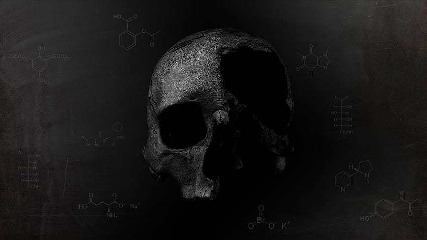 : тъмно, череп, смърт, химия, глава, тъмнина, 1920x1080 px, компютър, черно и бяло, монохромна графика, кост 1920x1080 HD тапет