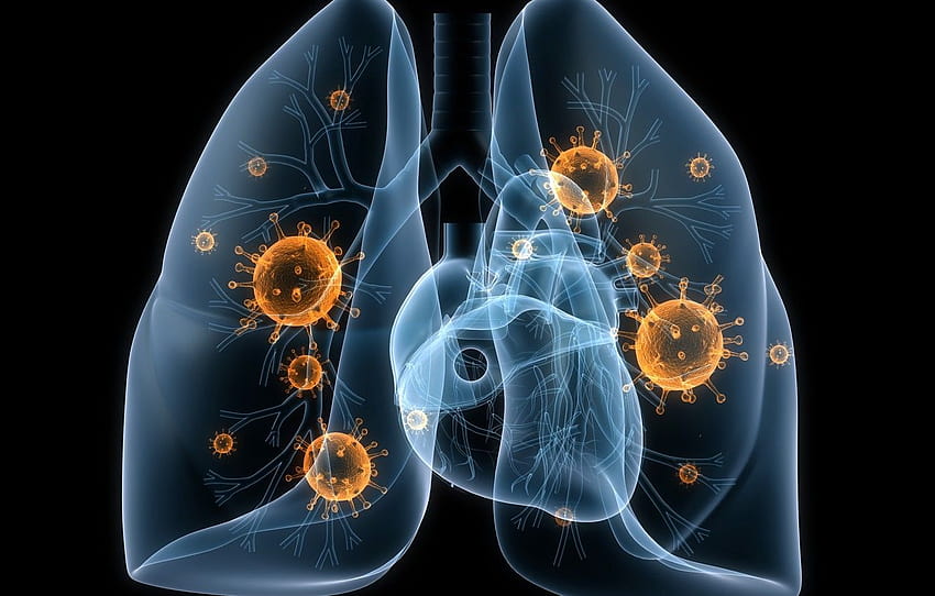 disease, lungs, viruses, bacteria HD wallpaper
