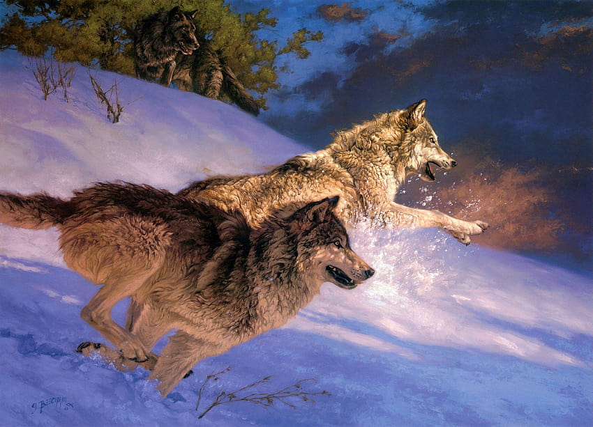 paintings, snow, animals, jumping, running, wolves ::, running wolf HD wallpaper