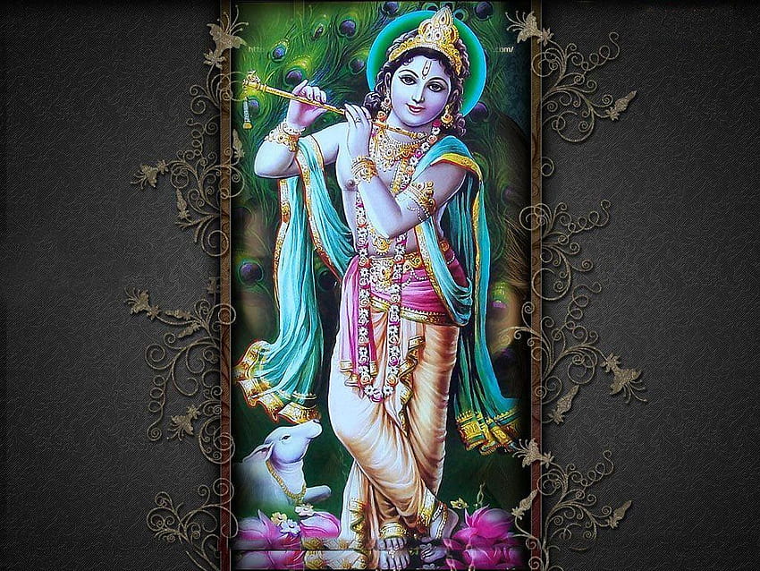 Jai Shri Krishna, señor Krishna fondo de pantalla