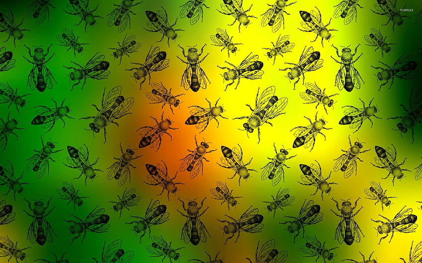 ศิลปะแมลงศัตรูพืช วอลล์เปเปอร์ HD