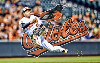 Download wallpaper wallpaper, sport, logo, baseball, glitter, checkered, MLB,  Baltimore Orioles, section sports in resolution 1024x768