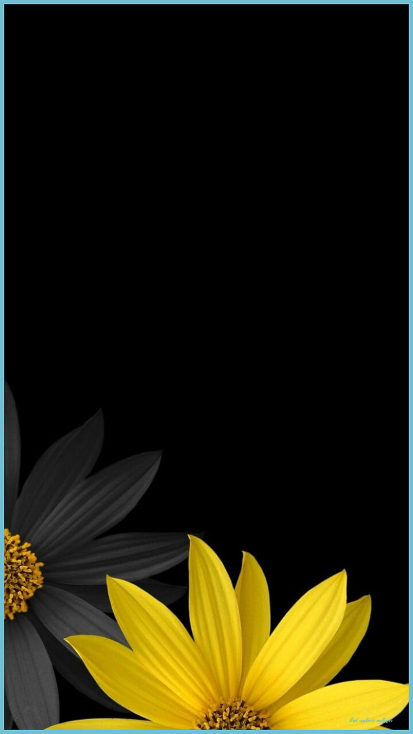 40+ Joyful Sunflower Wallpapers for iPhone - The Mood Guide