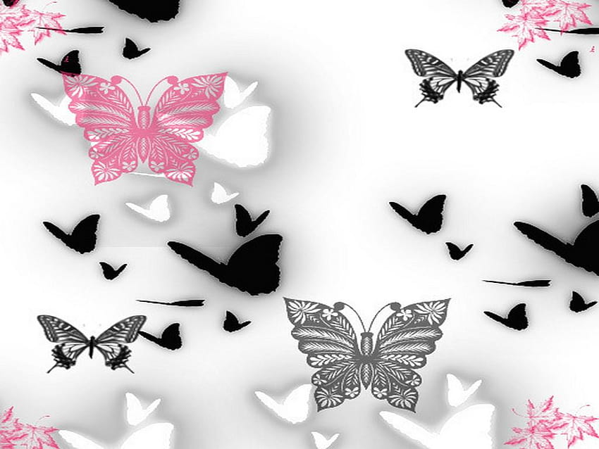 Farfalla rosa e nera, tipi di farfalle Sfondo HD