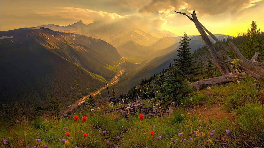 Unreal Engine 4 Landscape U HD-Hintergrundbild