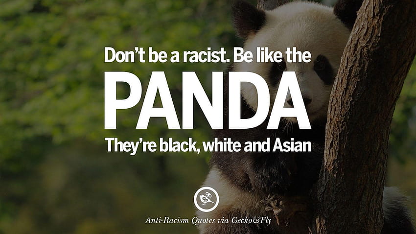 Quotes About Anti Racism And Against Racial Discrimination, racist backgrounds HD wallpaper