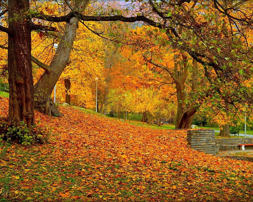 1280x1024 Autumn, Park, Bench, Fall, Foliage, Scenery, autumn in the ...