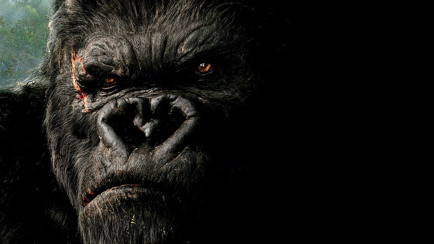Gorila Emas di Pinggul ...tangguh, gorila pemarah Wallpaper HD