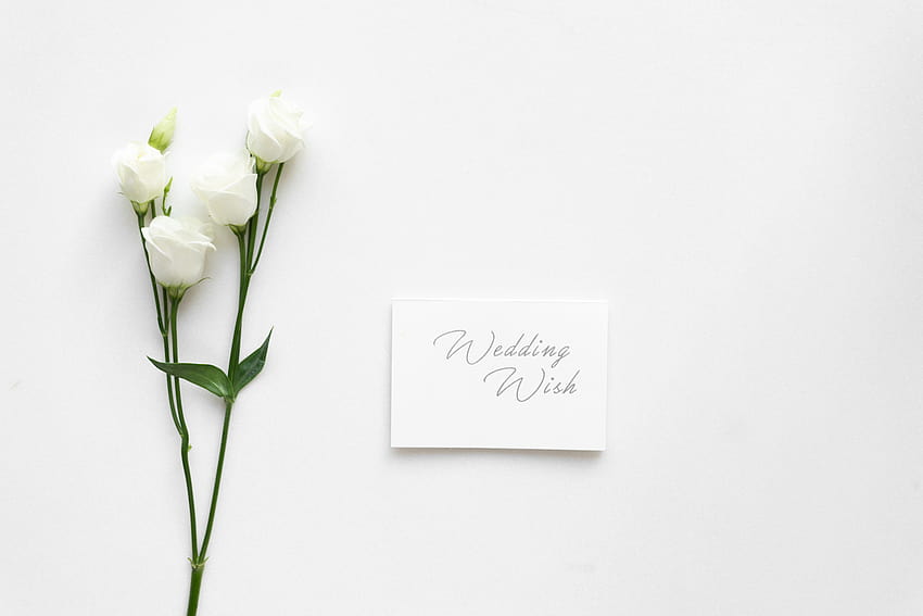 8 Heartfelt Wedding Wishes to Write on a Wedding Card HD wallpaper