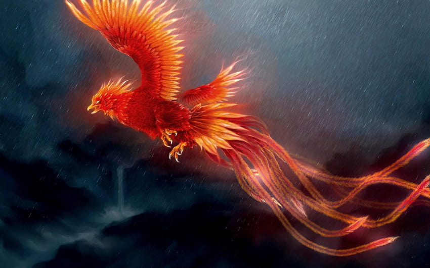 8 Phoenix Bird, mythical birds HD wallpaper