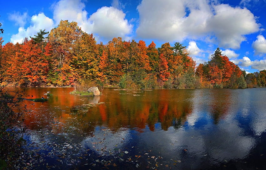 autumn, forest, the sky, leaves, clouds, trees, lake, paint, Canada, Ontario , section пейзажи, lake in autumn forest HD wallpaper
