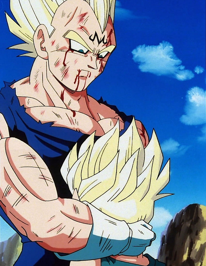 dragon ball z kid vegeta