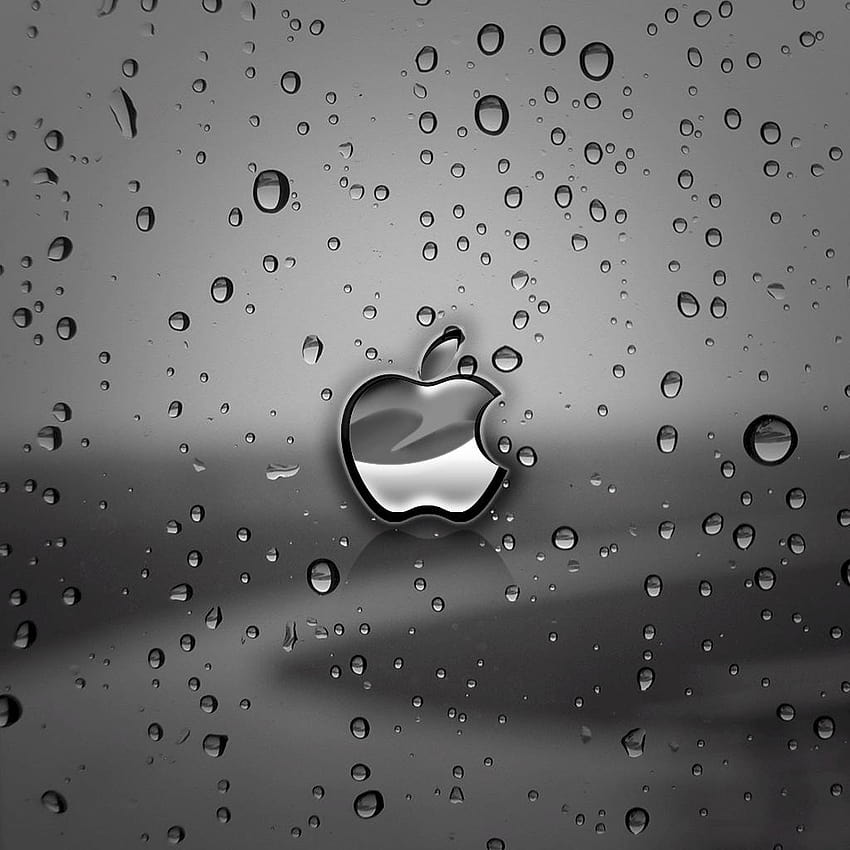 โลโก้ Apple เปียกเต็มไปด้วยมือถือแอปเปิ้ล วอลล์เปเปอร์โทรศัพท์ HD