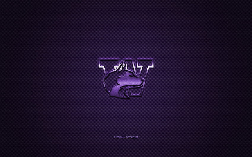 Logo der Washington Huskies, American Football Club, NCAA, violettes Logo, violetter Kohlefaserhintergrund, American Football, Seattle, Washington, USA, Washington Huskies, University of Washington mit einer Auflösung von 2560 x 1600 HD-Hintergrundbild