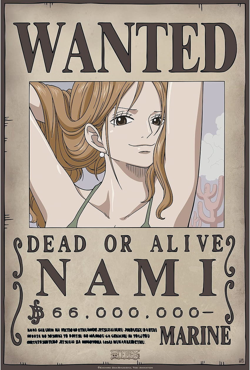 Pin on Mis Pines guardados, nami bounty วอลล์เปเปอร์โทรศัพท์ HD