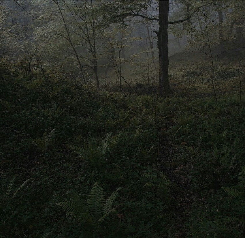 120 idées de cottages sombres Fond d'écran HD