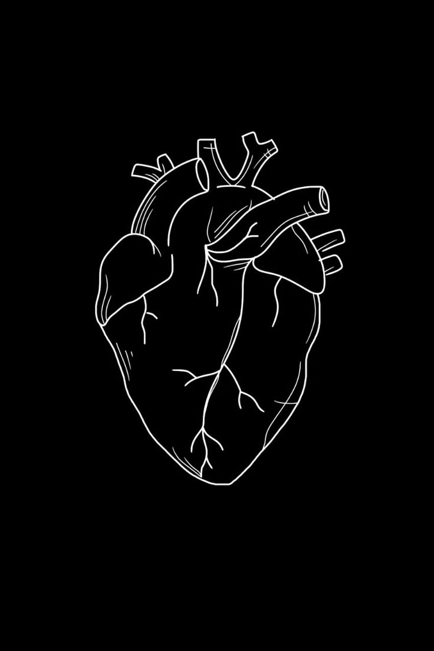 解剖学的心臓の黒と白のミニマリスト、 HD電話の壁紙