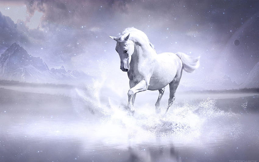 Weißes Pferd, sieben Pferde HD-Hintergrundbild