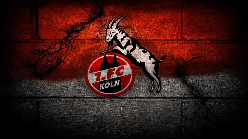 FC Cologne Logo Sport, koln HD wallpaper