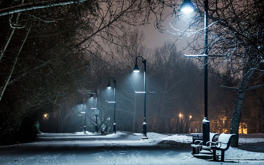 park, Winter, Snow, Bench, Lights, Lamp, Post, Night, Path, Trail / and Mobile Backgrounds, winter lamp HD wallpaper