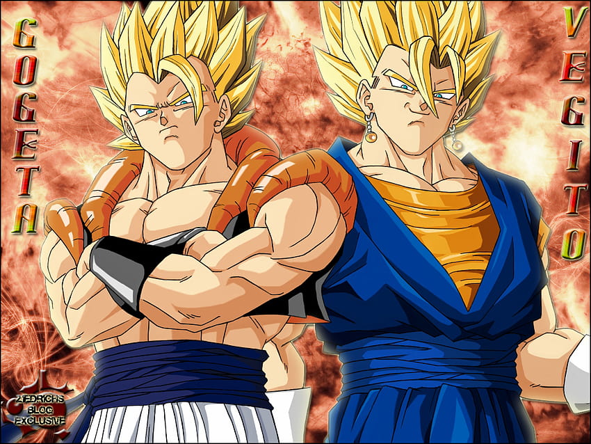 Gogeta vs. Dark Gogeta, Dragon Ball Wiki