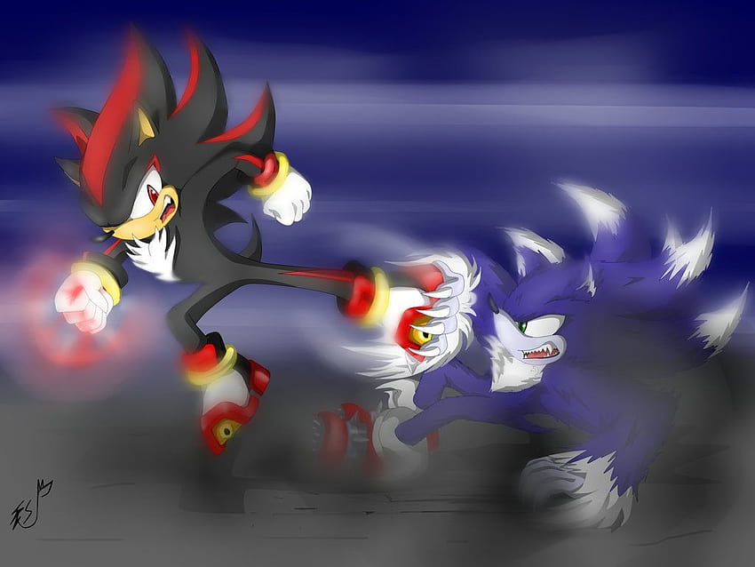 Sonic the Werehog vs Shadow HD wallpaper