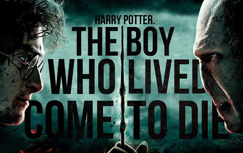 Harry Potter Google, funny harry potter HD wallpaper | Pxfuel