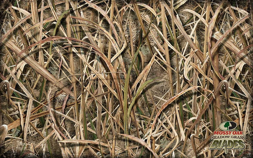 Of New Mossy Oak Shadow Grass Blades Camo, omszony dąb na ściany Tapeta HD