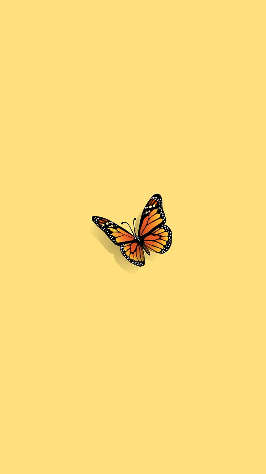 Aesthetic Butterfly Hd Phone Wallpaper Pxfuel 5130