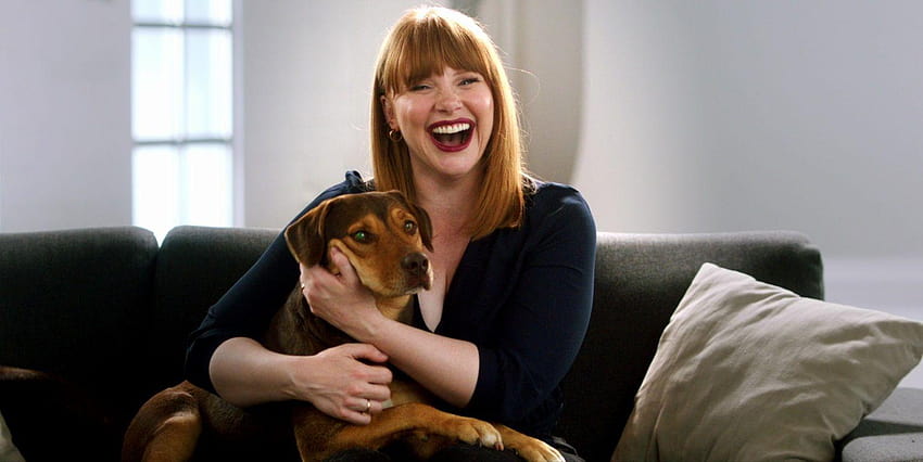 The Bryce Dallas Howard Network, a dogs way home HD wallpaper