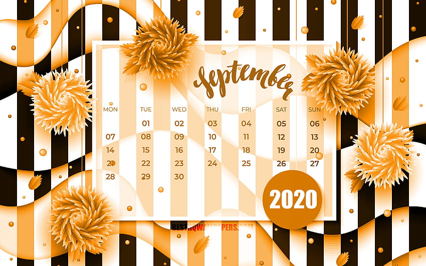 Calendario de septiembre de 2020, flores naranjas en 3D, calendario de 2020, calendarios de otoño, septiembre de 2020, creativo, calendario de septiembre de 2020 con flores, calendario de septiembre de 2020, ilustraciones, calendarios de 2020, calendario de septiembre de 2020, otoño de 2020 fondo de pantalla