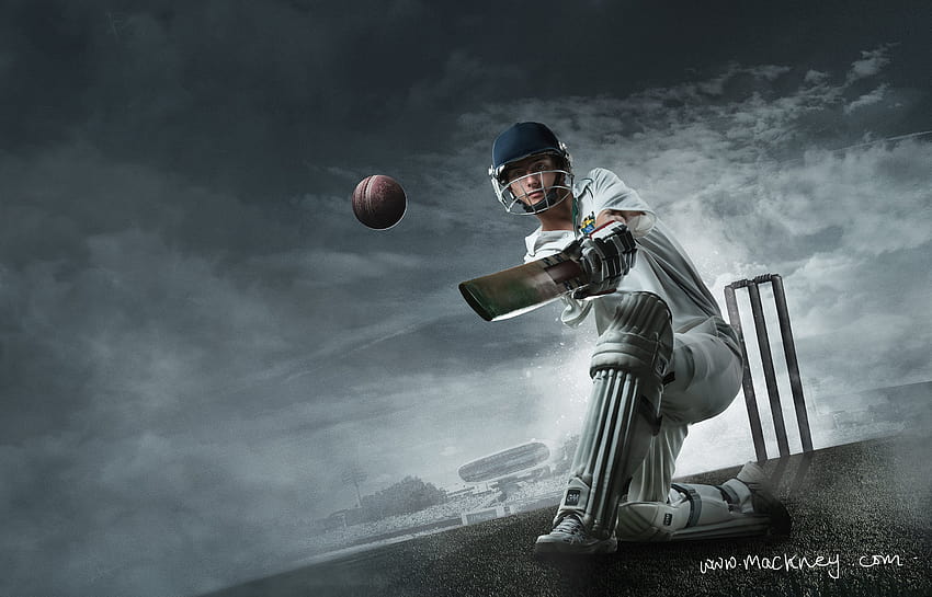 Cool Cricket HD wallpaper