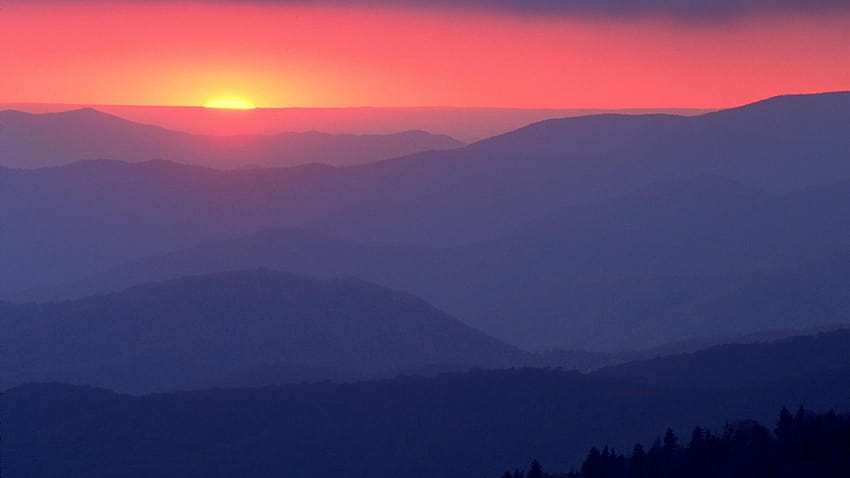 4 Great Smoky Mountain พระอาทิตย์ขึ้นภูเขาที่มีควันมาก วอลล์เปเปอร์ HD