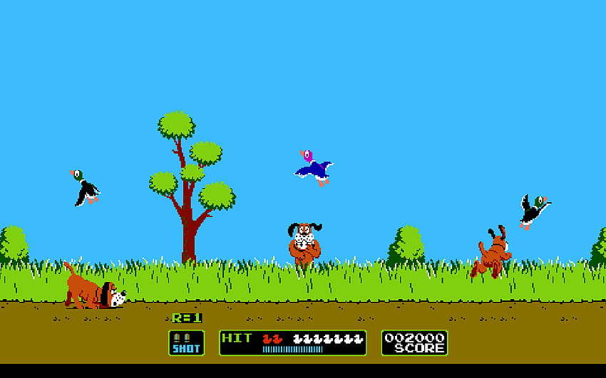 Duck Hunt HD wallpaper