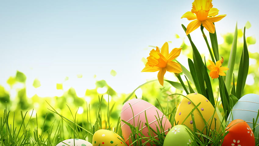 Wonderful yellow spring flower and Easter eggs on the grass, anime easter laptop HD wallpaper