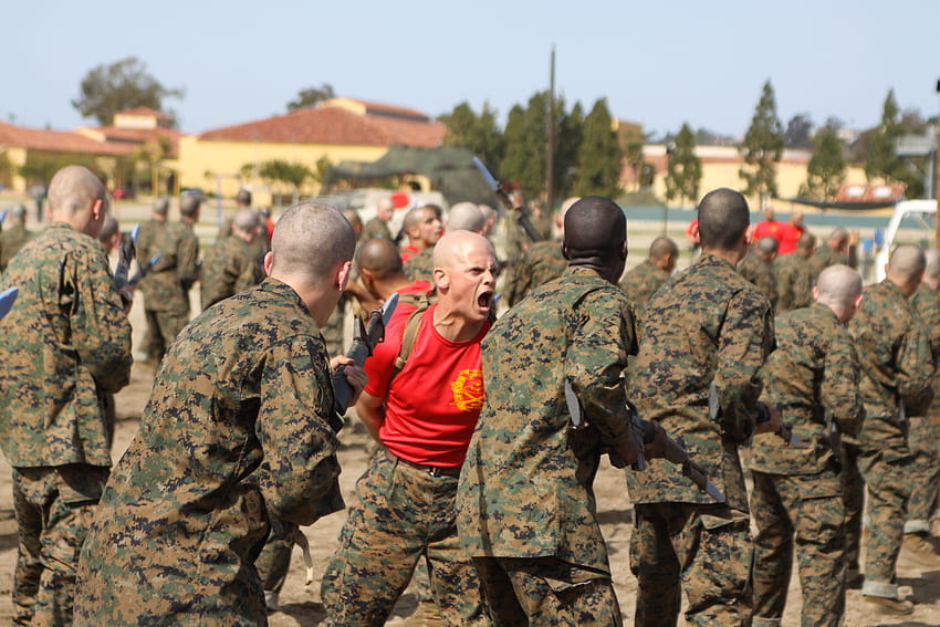 Of Marine Drill Instructors Screaming In People's Faces HD wallpaper