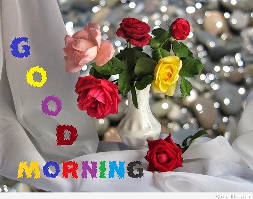 Dzień dobry róże tła, dzień dobry kwiaty Tapeta HD
