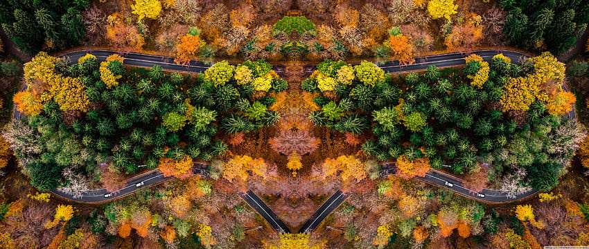 Autumn Symetric Drone Shot Ultra Backgrounds for : & UltraWide & Laptop : Multi Display, Dual Monitor : Tablet : Smartphone HD wallpaper