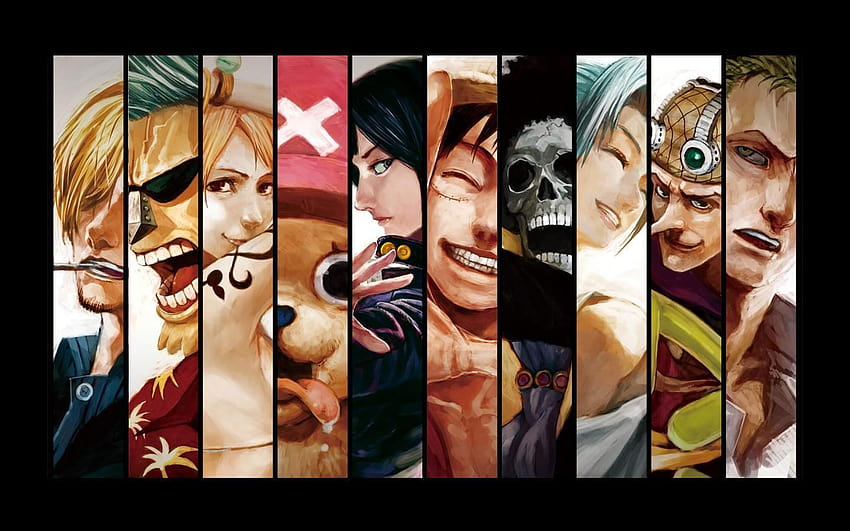 One Piece, Roronoa Zoro, Usopp, Brook, Monkey D. Luffy, Tony Tony Chopper, Nami, Franky, Sanji, Nefertari Vivi, Nico Robin, แผง / และพื้นหลังมือถือ, nefertari vivi one piece วอลล์เปเปอร์ HD