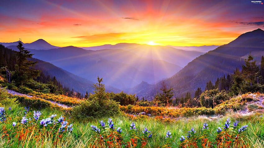 sun, rays, Spring, Mountains, mountain spring HD wallpaper